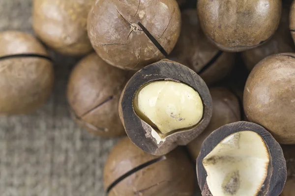 Macadamia-Nüsse in der Schale — Stockfoto