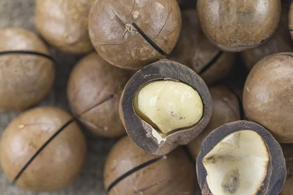 Macadamia-Nüsse in der Schale — Stockfoto