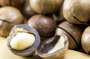 Macadamia fındık kabuğu