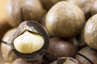 Macadamia fındık kabuğu