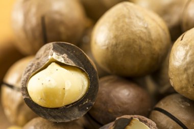 Macadamia fındık kabuğu