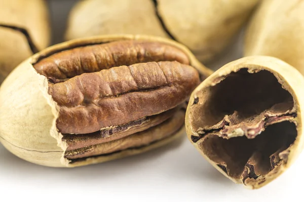 Pecan nuts in shell — Stock Photo, Image