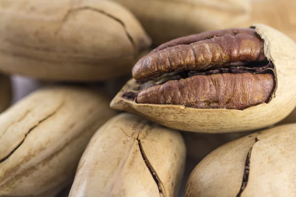 Pecan nuts in shell — Stock Photo, Image