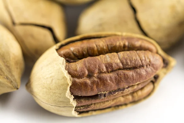 Pecan nuts in shell — Stock Photo, Image