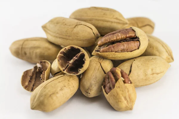 Pecan nuts in shell — Stock Photo, Image