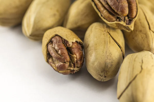 Pecan nuts in shell — Stock Photo, Image