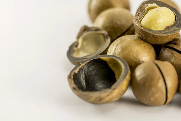 Macadamia καρύδια με κέλυφος — Φωτογραφία Αρχείου