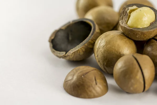 Macadamia-Nüsse in der Schale — Stockfoto