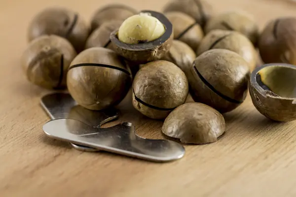 Macadamia nuts in shell — Stock Photo, Image