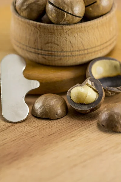 Орехи макадамии в скорлупе — стоковое фото