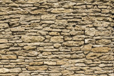 Coquina, kireçtaşı dokusuna