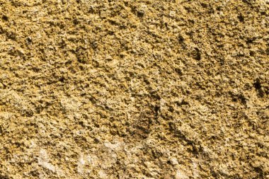 Coquina, kireçtaşı dokusuna