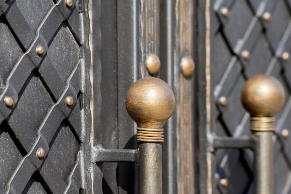 Elementos de la decoración de puertas de hierro forjado — Foto de Stock