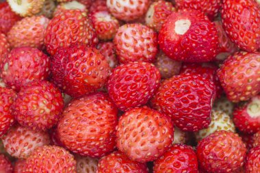 Orman berry - çilek