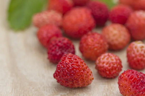 Forest berry - strawberries