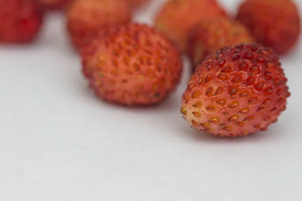 Leśne jagody - truskawki — Zdjęcie stockowe