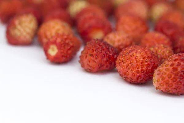 Лесная ягода - клубника — стоковое фото