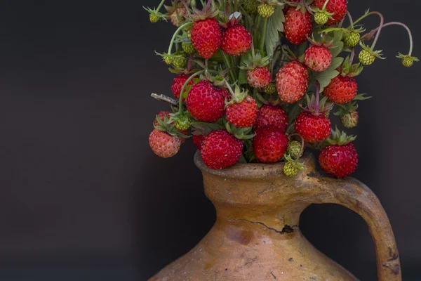 Waldbeeren - Erdbeeren — Stockfoto