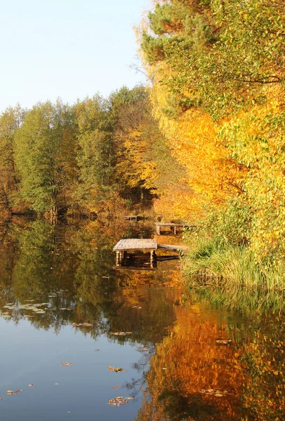 Waldsee im Herbst — Stockfoto