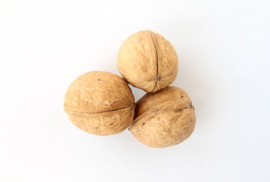 Ceviz kabuğundaki