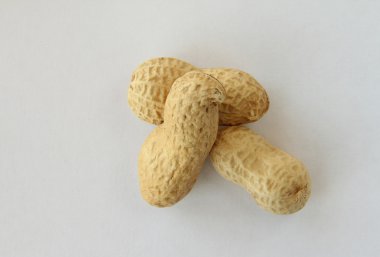 kabukta yer fıstığı 