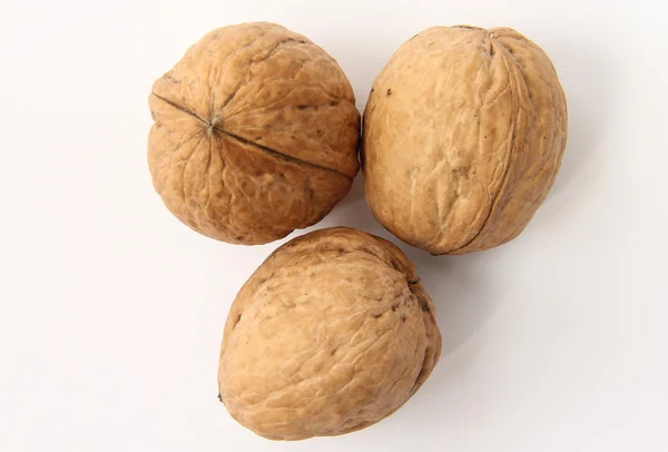 Walnut in shell — Stock Photo, Image