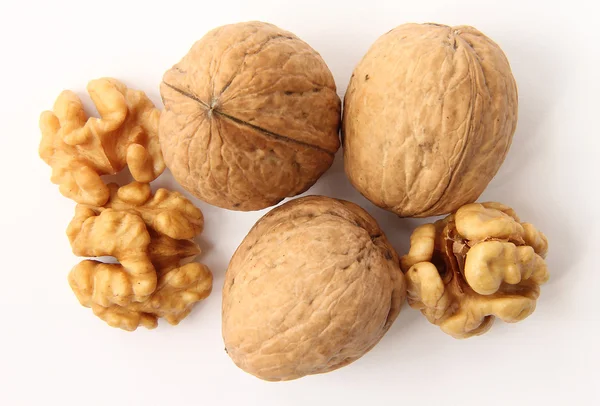 Walnut — Stock Photo, Image