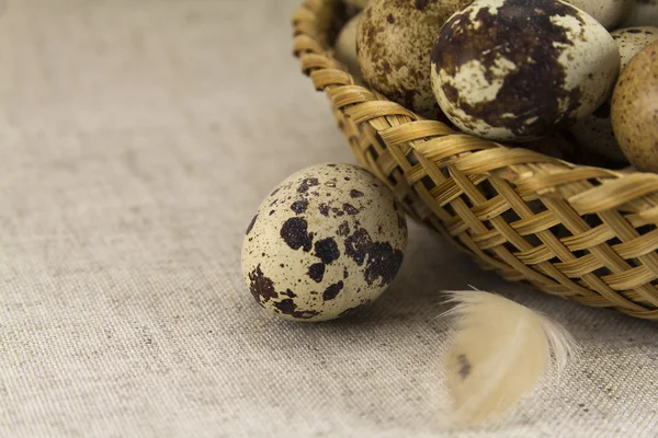 Перепелиные яйца в плетеной овальной форме — стоковое фото
