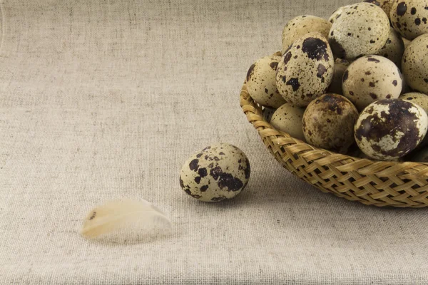 Bıldırcın yumurtası hasır oval şekil