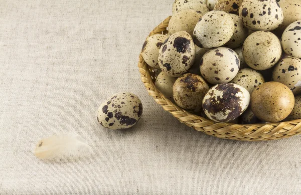 Huevos de codorniz en forma ovalada de mimbre —  Fotos de Stock