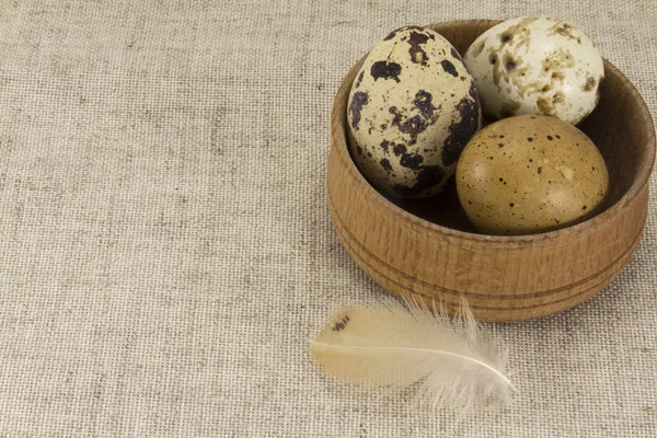 Перепелиные яйца в круглой форме — стоковое фото
