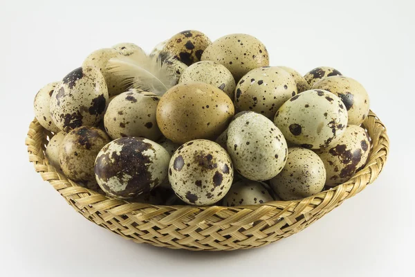 Bıldırcın yumurtası hasır oval şekil