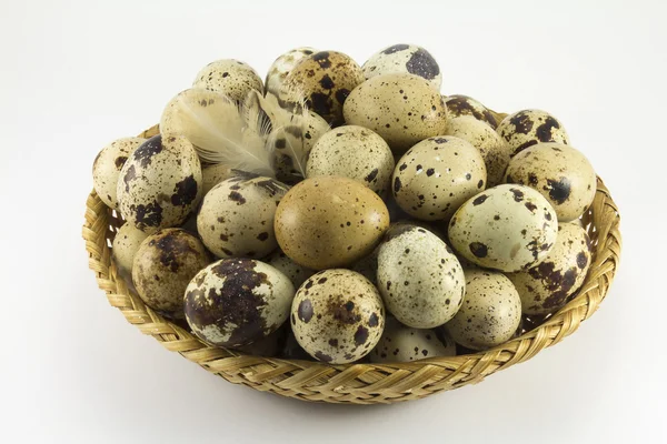 Ovos de codorniz em forma oval de vime — Fotografia de Stock