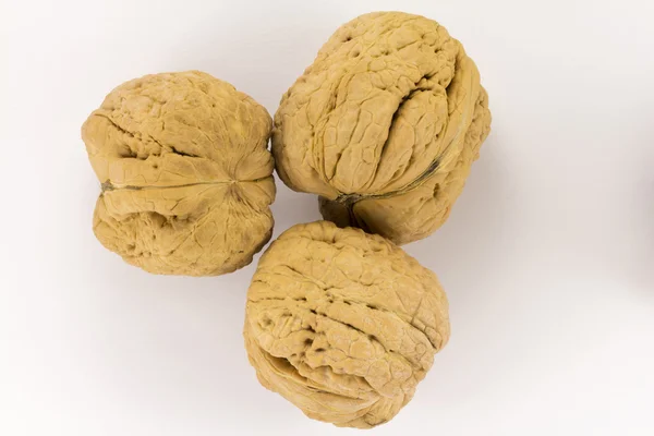 Giant (big) walnut in shell — Stock Photo, Image
