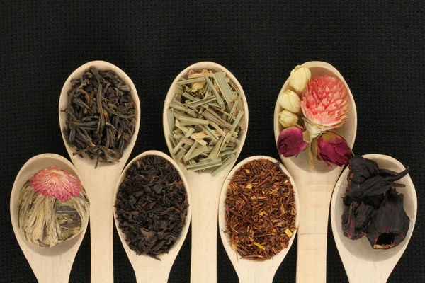 Assortment of different types of tea in a wooden spoon — Stock Photo, Image