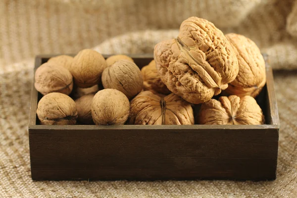 Гигантский и маленький орех в раковине — стоковое фото