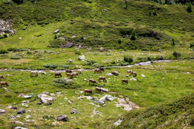 Formazza (VCO), İtalya - 25 Haziran 2020: Vannino Gölü, Formazza Vadisi, Ossola, VCO, Piedmont, İtalya