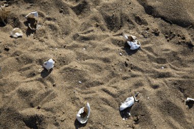 Kefalonia - Yunanistan - 15 Ağustos 2025: Mounda sahilinin Skala, Kefalonia, Yunanistan 'a ihtiyacı var.