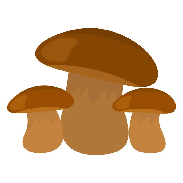 Illsutration Mushrooms Autumn Season Edible Mushroom Boletus — Stock Vector
