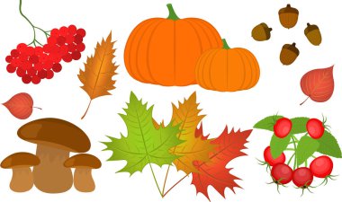 Sonbahar kümesi, balkabağı, meşe palamudu, mantar, yaprak, gül ağacı dalı.