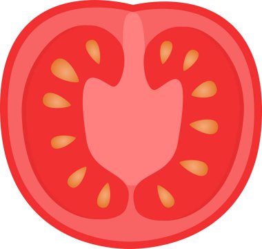 Bir dilim taze domates. Düz Çizim.