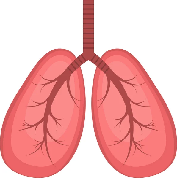 Ilustración Pulmones Órganos Humanos Pulmones Icono — Vector de stock