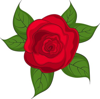 Yapraklı kırmızı bir gül resmi.