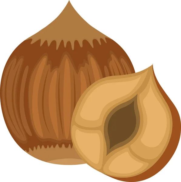 Illustration Hazelnut Nut Healthy Snack — Stock Vector