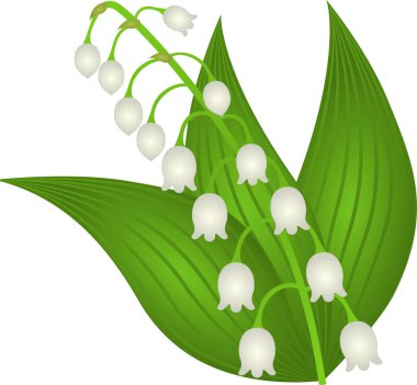 Vadideki bir çiçeğin resmi. Çiçek açan, çiçek açan..