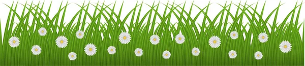 Illustration Green Grass Daisies Flowers — Stock Vector