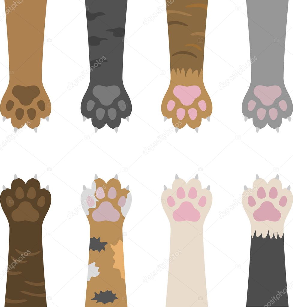 Illustration of a colored cat's paws with claws.