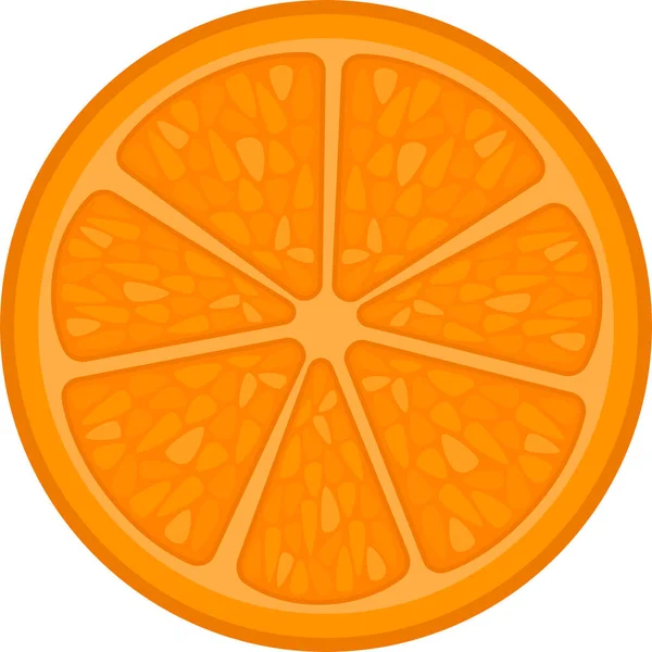 Portakal diliminin vektör çizimi. Yiyecek, meyve..