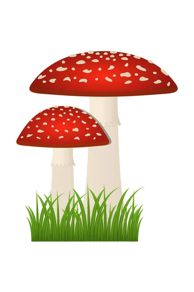 Vektor Illustration Giftiga Svampar Amanita — Stock vektor