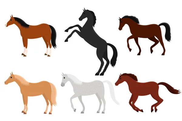 Vector Illustration Set Horses Different Colors — Stock Vector